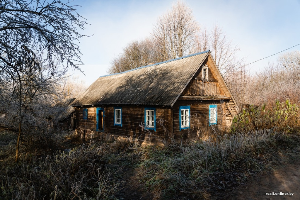 Пустующие жилые дома на селе: как стать собственником недвижимости за одну базовую?