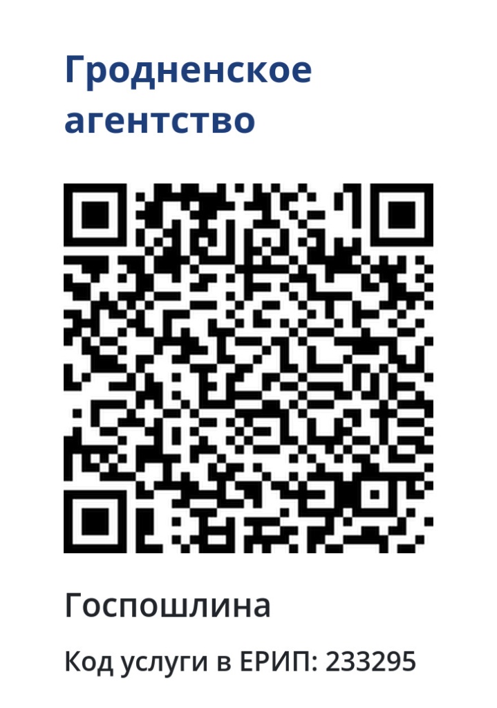 qr-233295.jpg
